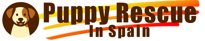 Puppy Rescue in Spain custom logo